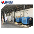 Générateur de gazéificateur en bois 10KW-1000KW électrique pour centrale